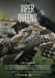 Королевы гадюк смотреть онлайн бесплатно