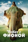 Побег с Фионой смотреть онлайн бесплатно
