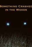 Крушение в лесу смотреть онлайн бесплатно