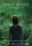 Дикие розы смотреть онлайн бесплатно