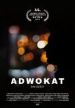 Адвокат смотреть онлайн бесплатно