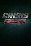Crisis Aftermath смотреть онлайн бесплатно