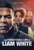 Лиам Уайт: Забываемая жизнь Лиама Уайта смотреть онлайн бесплатно