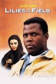 Полевые лилии смотреть онлайн бесплатно
