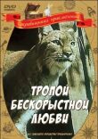 Тропой бескорыстной любви смотреть онлайн бесплатно