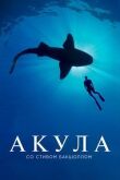 Акула со Стивом Бакшоллом смотреть онлайн бесплатно