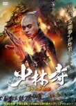 Southern Shaolin and the Fierce Buddha Warriors смотреть онлайн бесплатно
