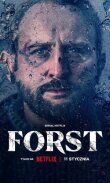 Детектив Форст смотреть онлайн бесплатно