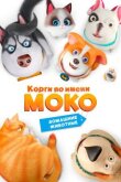 Корги по имени Моко. Домашние животные смотреть онлайн бесплатно