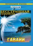 Discovery: Бесстрашная планета смотреть онлайн бесплатно