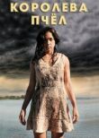Королева пчёл смотреть онлайн бесплатно