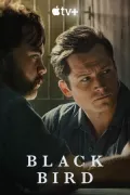 Постер к кинофильму Чёрная птица смотреть онлайн бесплатно