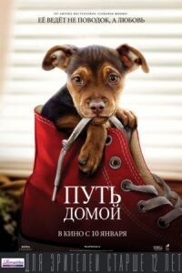 Постер к кинофильму Путь домой смотреть онлайн бесплатно