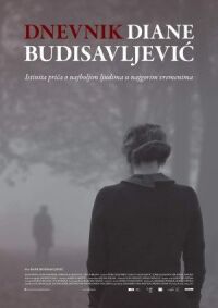 Постер к кинофильму Дневник Дианы Будисавлевич смотреть онлайн бесплатно