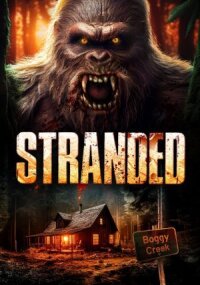 Постер к кинофильму Stranded смотреть онлайн бесплатно