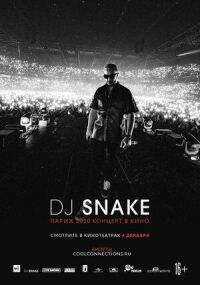 Постер к кинофильму DJ SNAKE: Париж 2020. Концерт в кино смотреть онлайн бесплатно