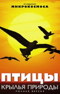 Постер к кинофильму Птицы: Крылья природы смотреть онлайн бесплатно