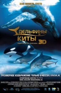 Постер к кинофильму Дельфины и киты 3D смотреть онлайн бесплатно