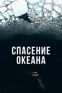 Постер к кинофильму Спасение океана смотреть онлайн бесплатно