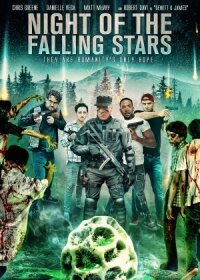 Постер к кинофильму Night of the Falling Stars смотреть онлайн бесплатно