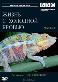 Постер к кинофильму BBC: Жизнь с холодной кровью смотреть онлайн бесплатно