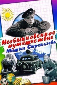 Постер к кинофильму Необыкновенное путешествие Мишки Стрекачева смотреть онлайн бесплатно