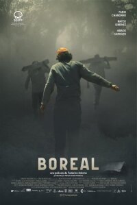 Постер к кинофильму Полярное сияние смотреть онлайн бесплатно