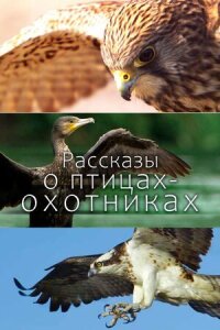 Постер к кинофильму Рассказы о птицах-охотниках смотреть онлайн бесплатно