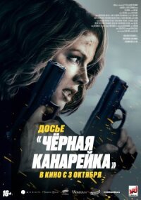 Постер к кинофильму Досье «Чёрная канарейка» смотреть онлайн бесплатно