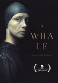 Постер к кинофильму Кит смотреть онлайн бесплатно
