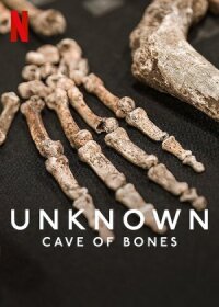 Постер к кинофильму Unknown: Cave of Bones смотреть онлайн бесплатно