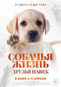 Постер к кинофильму Собачья жизнь: Друзья навек смотреть онлайн бесплатно