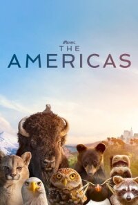 Постер к кинофильму Америка смотреть онлайн бесплатно