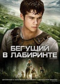 Постер к кинофильму Бегущий в лабиринте смотреть онлайн бесплатно