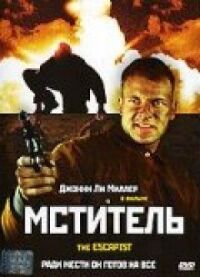 Постер к кинофильму Мститель смотреть онлайн бесплатно