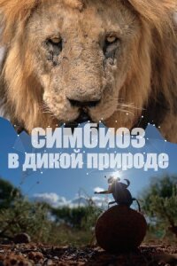Постер к кинофильму Симбиоз в дикой природе смотреть онлайн бесплатно