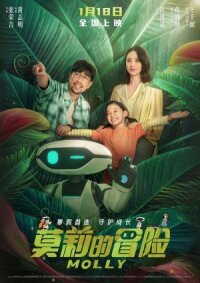 Постер к кинофильму Приключения Молли смотреть онлайн бесплатно