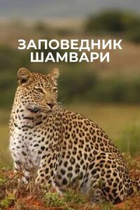 Постер к кинофильму Заповедник Шамвари смотреть онлайн бесплатно