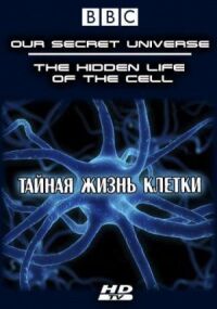 Постер к кинофильму Внутренняя вселенная: Тайная жизнь клетки смотреть онлайн бесплатно