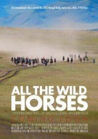 Постер к кинофильму All the Wild Horses смотреть онлайн бесплатно