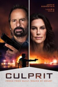 Постер к кинофильму Преступник смотреть онлайн бесплатно
