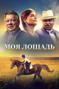 Постер к кинофильму Моя лошадь смотреть онлайн бесплатно