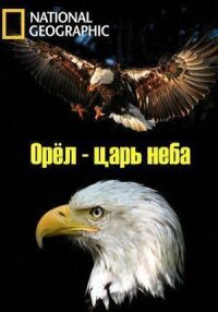 Постер к кинофильму Орёл — царь неба смотреть онлайн бесплатно