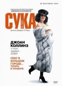 Постер к кинофильму Сука смотреть онлайн бесплатно