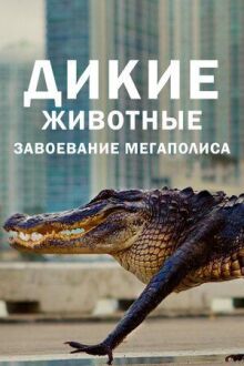 Дикие животные: Завоевание мегаполиса онлайн бесплатно