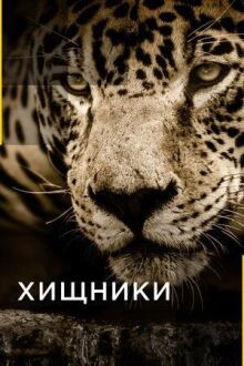Хищники онлайн бесплатно