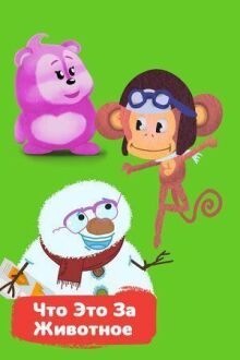 Что это за животное онлайн бесплатно