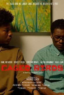 Птицы в неволе онлайн бесплатно