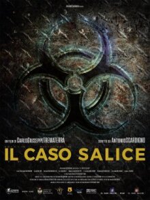 Дело Саличе онлайн бесплатно