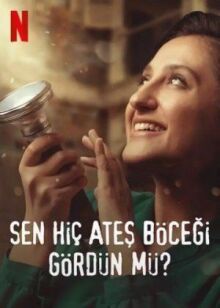 Вы когда-нибудь видели светлячков? онлайн бесплатно